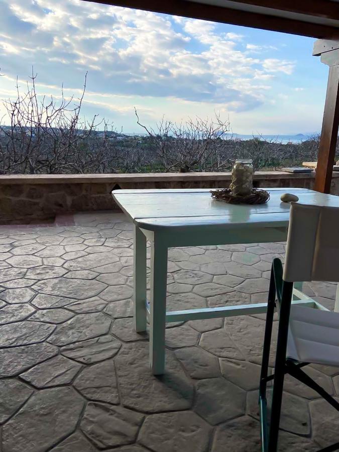 Pistachio Guesthouse, Παραδοσιακός Ξενώνας Vathí Buitenkant foto